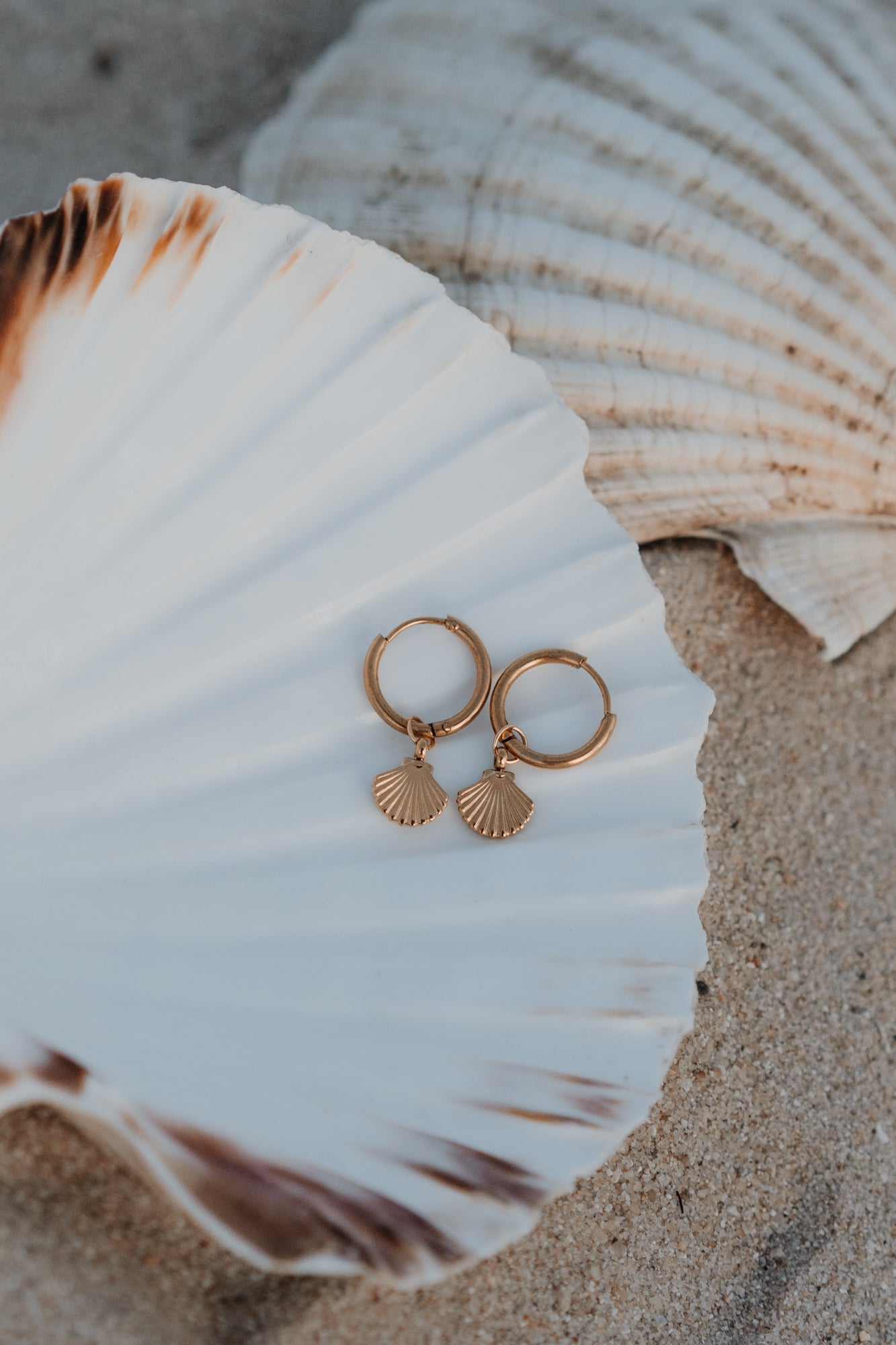 Ohrringe SHINY SHELL