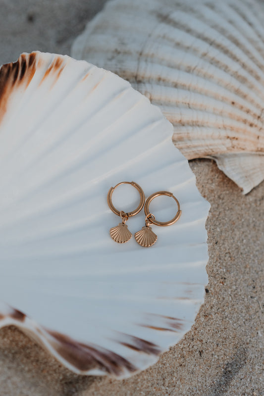 Ohrringe SHINY SHELL